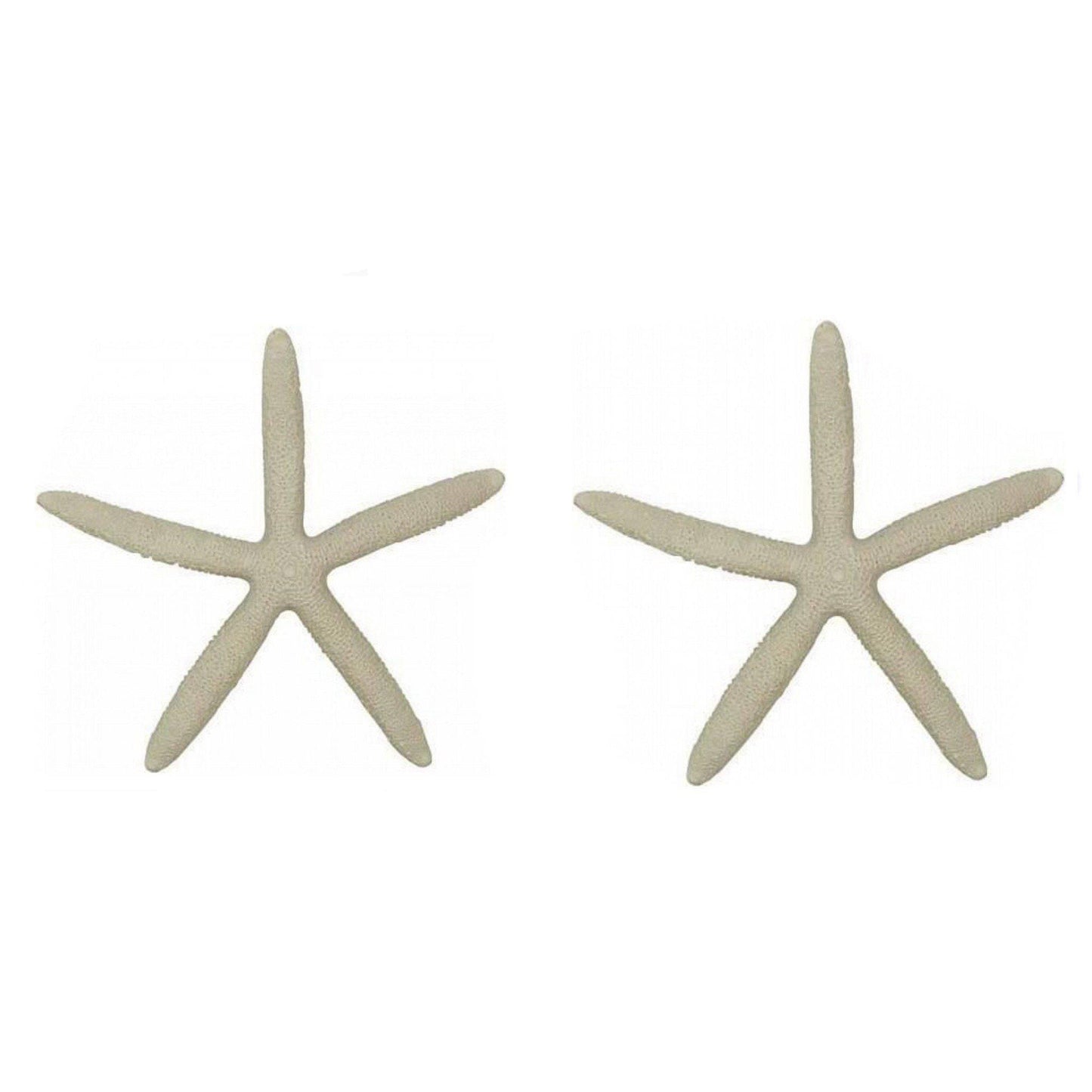 Starfish Set of 2 Cream Decoration - The Renmy Store Homewares & Gifts 