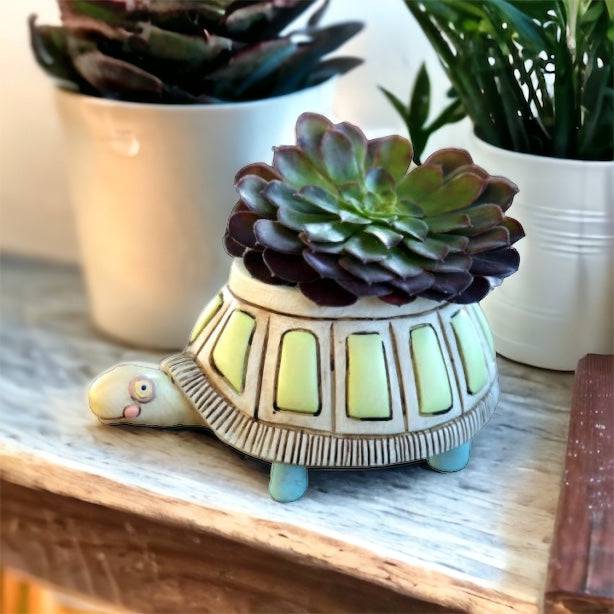 Turtle Pot Planter Small Garden - The Renmy Store Homewares & Gifts 