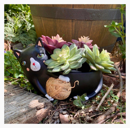 Cat Funky Yarn Black Plant Pot - The Renmy Store Homewares & Gifts 