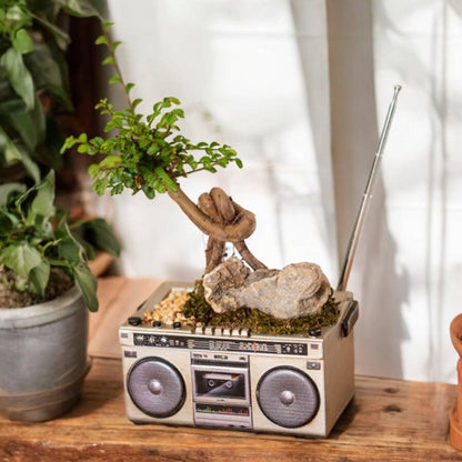 Planter Pot Radio Music Cassette Computer Retro Vintage - The Renmy Store Homewares & Gifts 