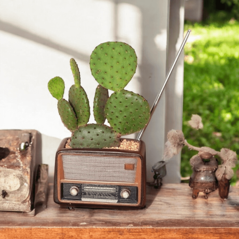 Planter Pot Radio Music Cassette Computer Retro Vintage - The Renmy Store Homewares & Gifts 