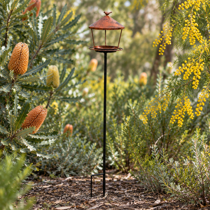 Rustic standing bird feeder in an Australian native garden