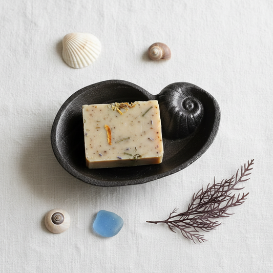 Seashell soap dish — coastal flat lay