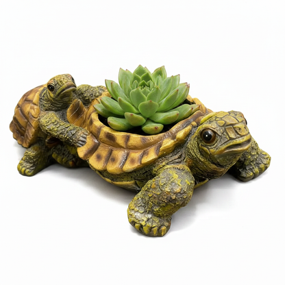 Turtle Planter — White Background