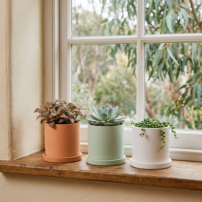 Warm orange, pale green and white planters in a cottage setting