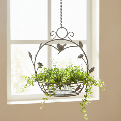 Wire basket hanging indoors by a window