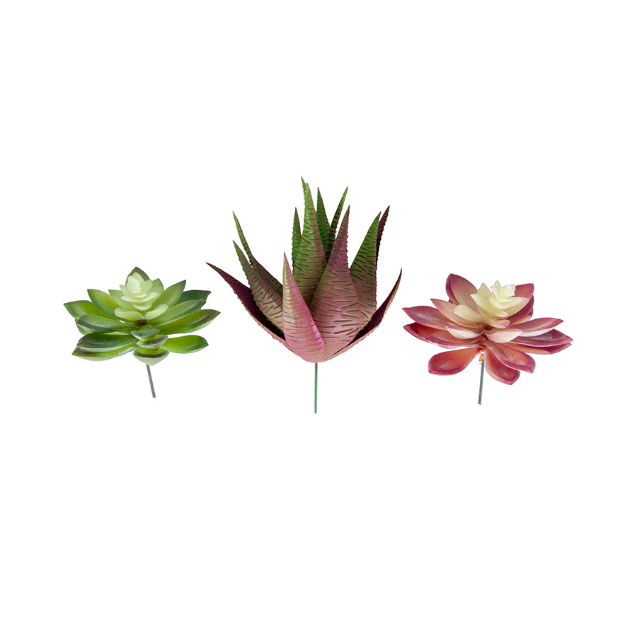 Succulent Set of 3 Artificial Plant - The Renmy Store Homewares & Gifts 