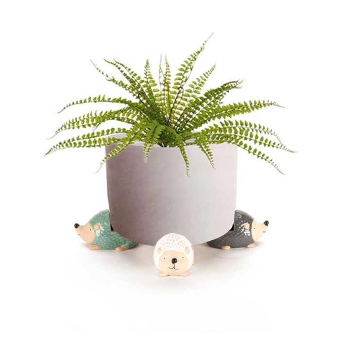 Pot Plant Feet Echidna Set of 3 - The Renmy Store Homewares & Gifts 