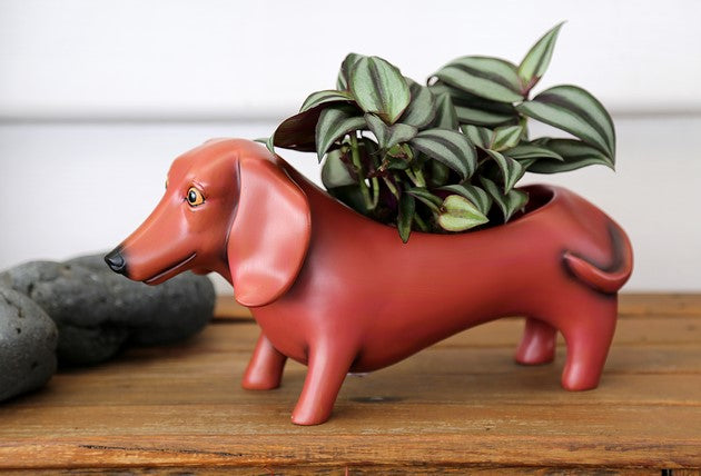 Dachshund Dog Brown Oscar Large Pot Plant - The Renmy Store