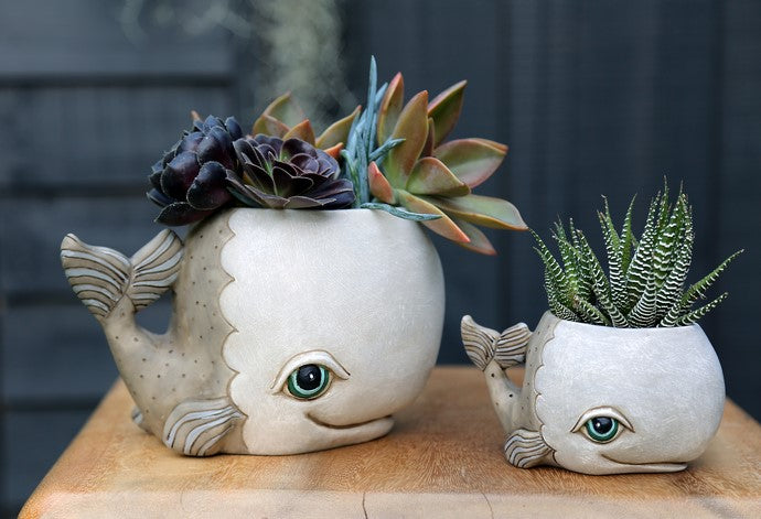 Whale Grey Funky Pot Plant Small - The Renmy Store
