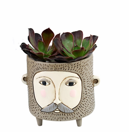 Hairy Jack Funky Pot Plant - The Renmy Store