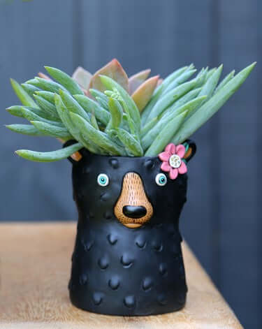 Bear Black Funky Pot Plant Small - The Renmy Store