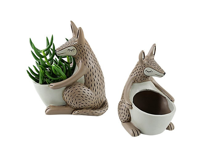 Kangaroo Pot Planter Funky Pot Plant - The Renmy Store Homewares & Gifts 