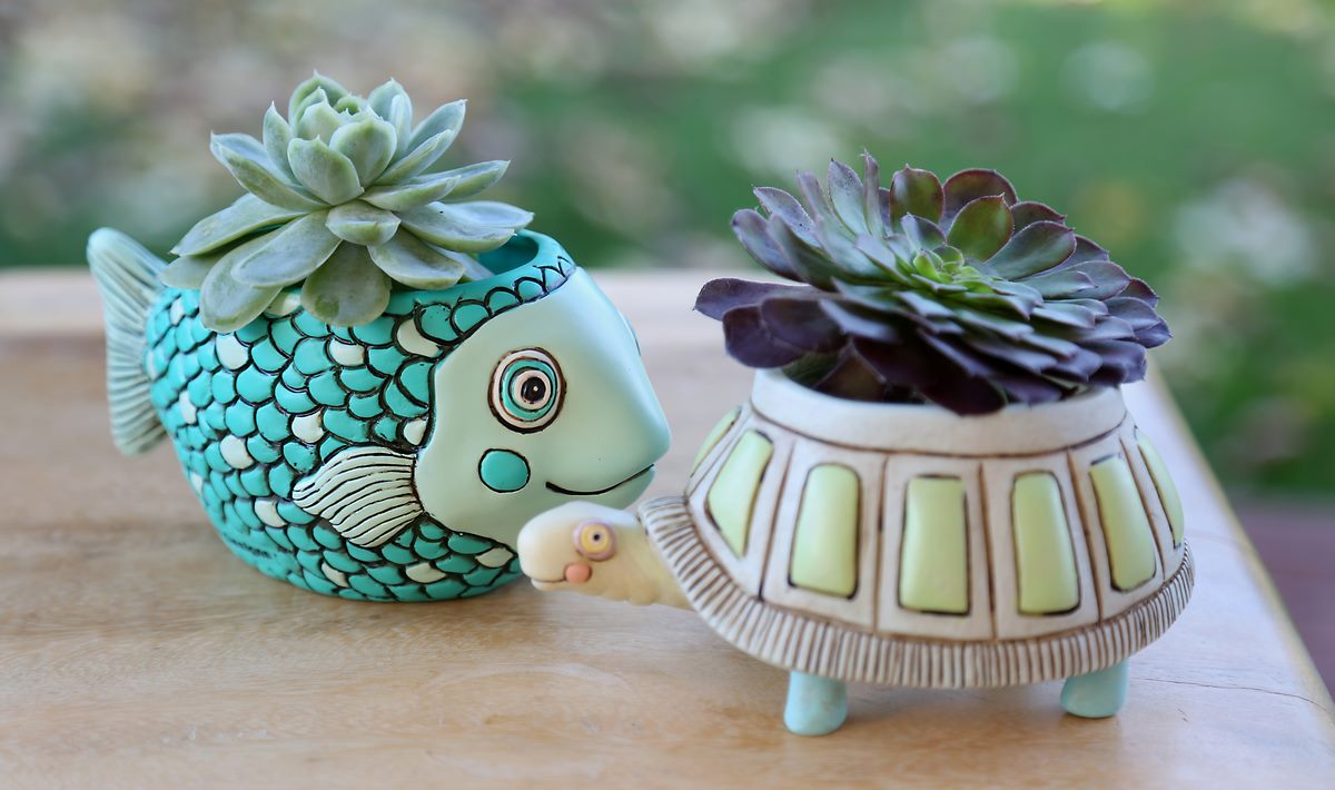 Fish Blue Funky Pot Planter Plant Small - The Renmy Store Homewares & Gifts 