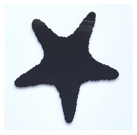 Starfish Beach Black or White Acrylic Decor