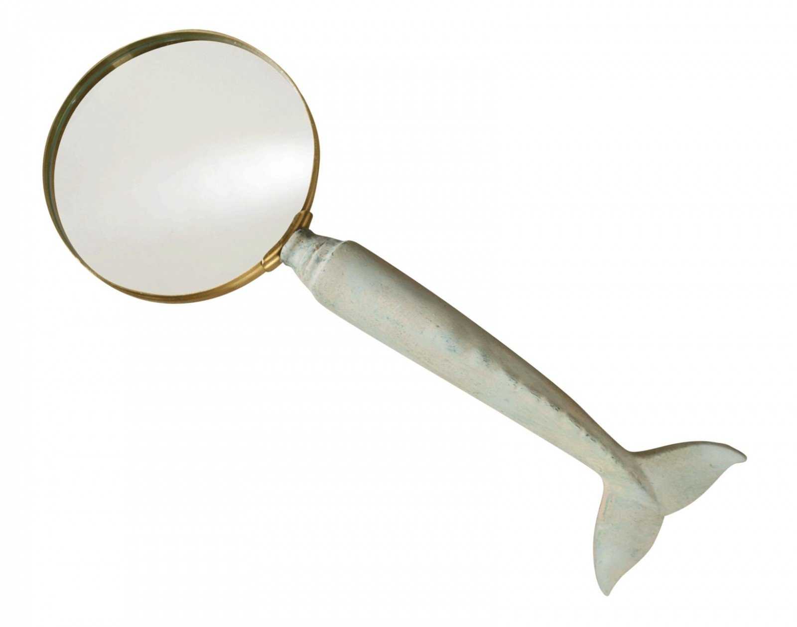 Magnifying Glass Whale Tail