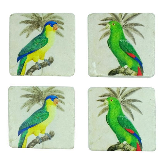 Parrot Birds Tropical Coasters Set of 4