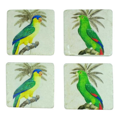 Parrot Birds Tropical Coasters Set of 4 - The Renmy Store Homewares & Gifts 