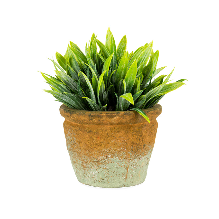 Pot Plant Grass Artificial Decorative - The Renmy Store