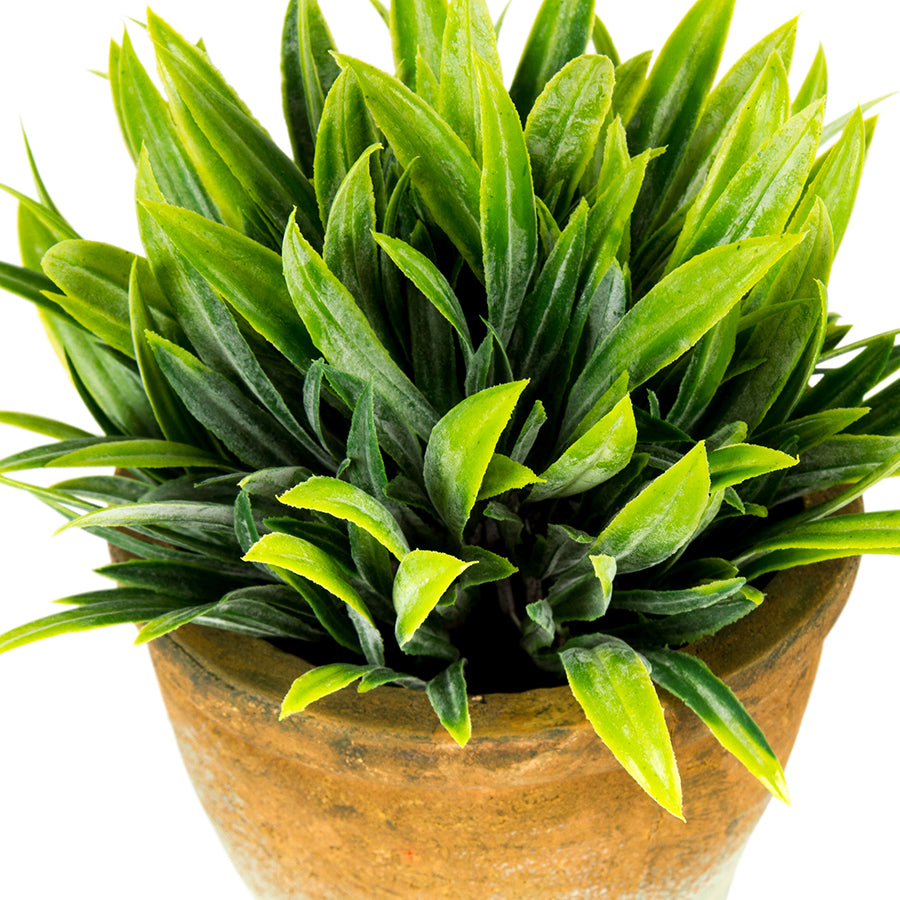 Pot Plant Grass Artificial Decorative - The Renmy Store