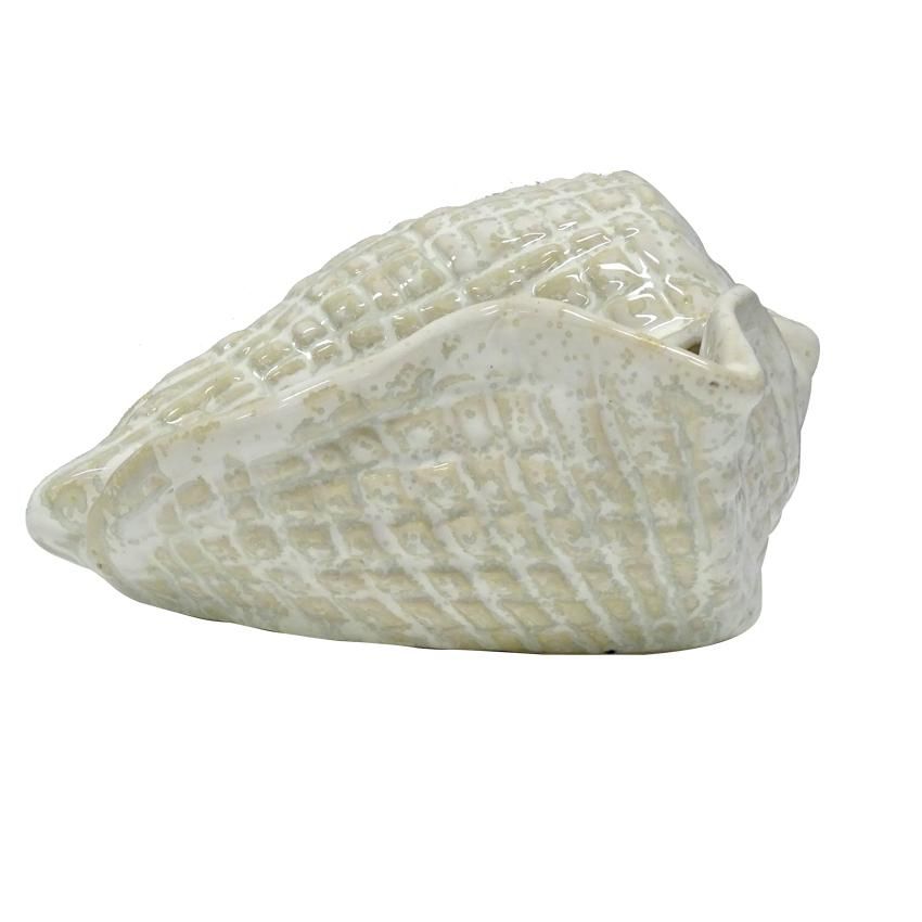 Sea Shell Cowrie Ocean Ornament