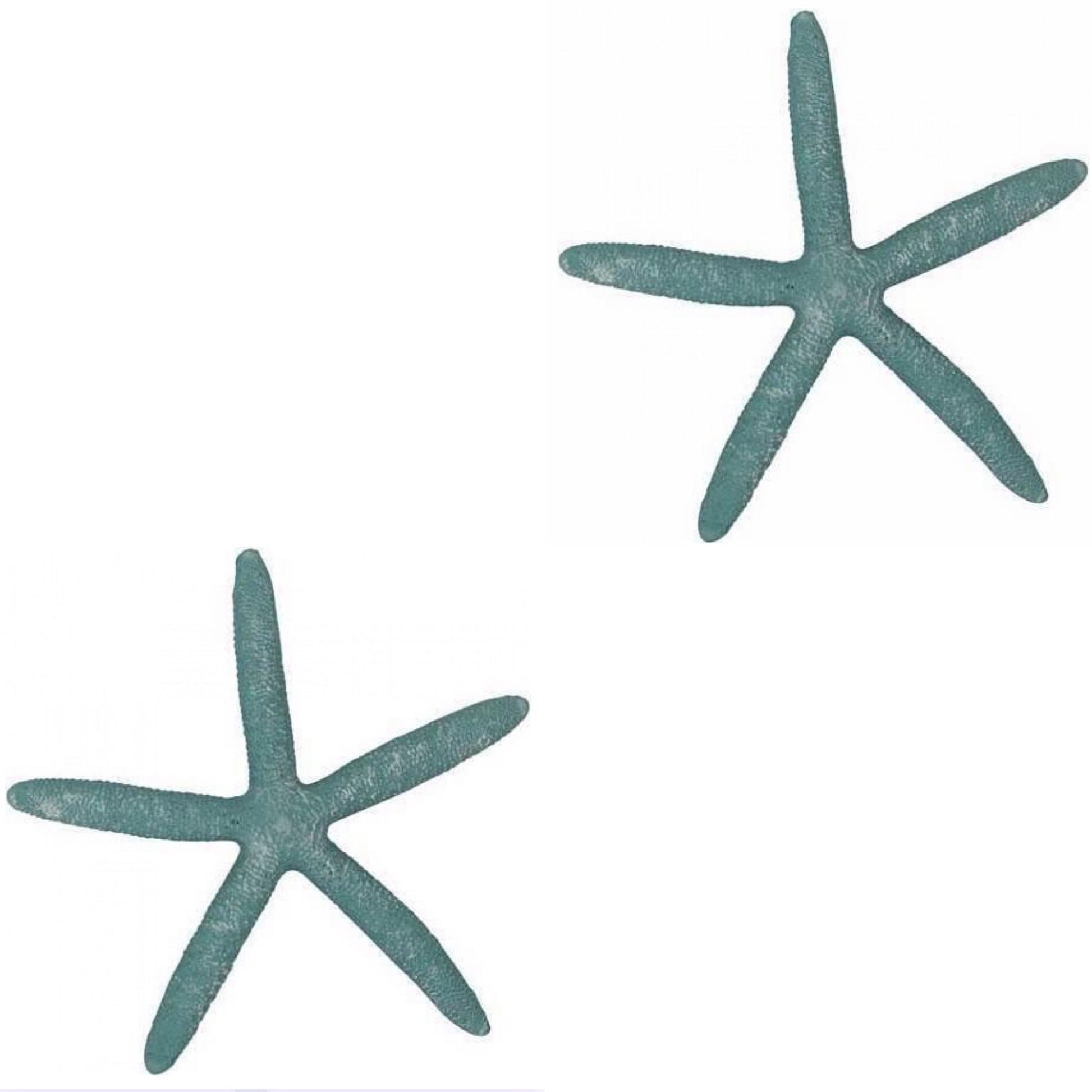 Starfish Set of 2 Aqua Decoration