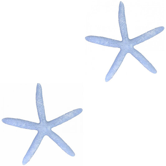 Starfish Set of 2 Blue Decoration