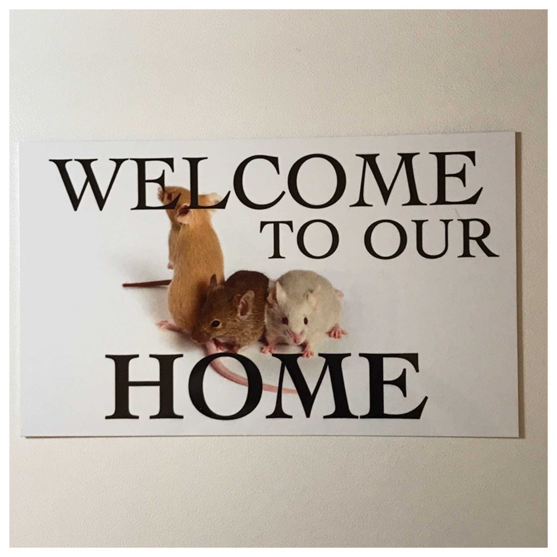 Mouse Mice Welcome To Our Home Sign