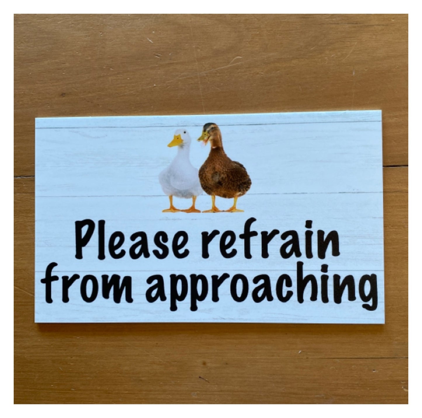 Duck Ducks Your Text Custom Wording Sign - The Renmy Store Homewares & Gifts 