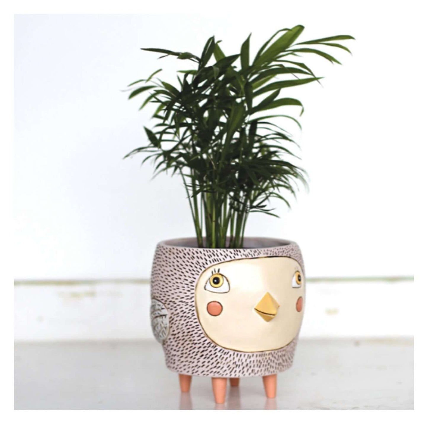 Bird Birdie Pot Planter Funky Pot Plant Pink - The Renmy Store Homewares & Gifts 
