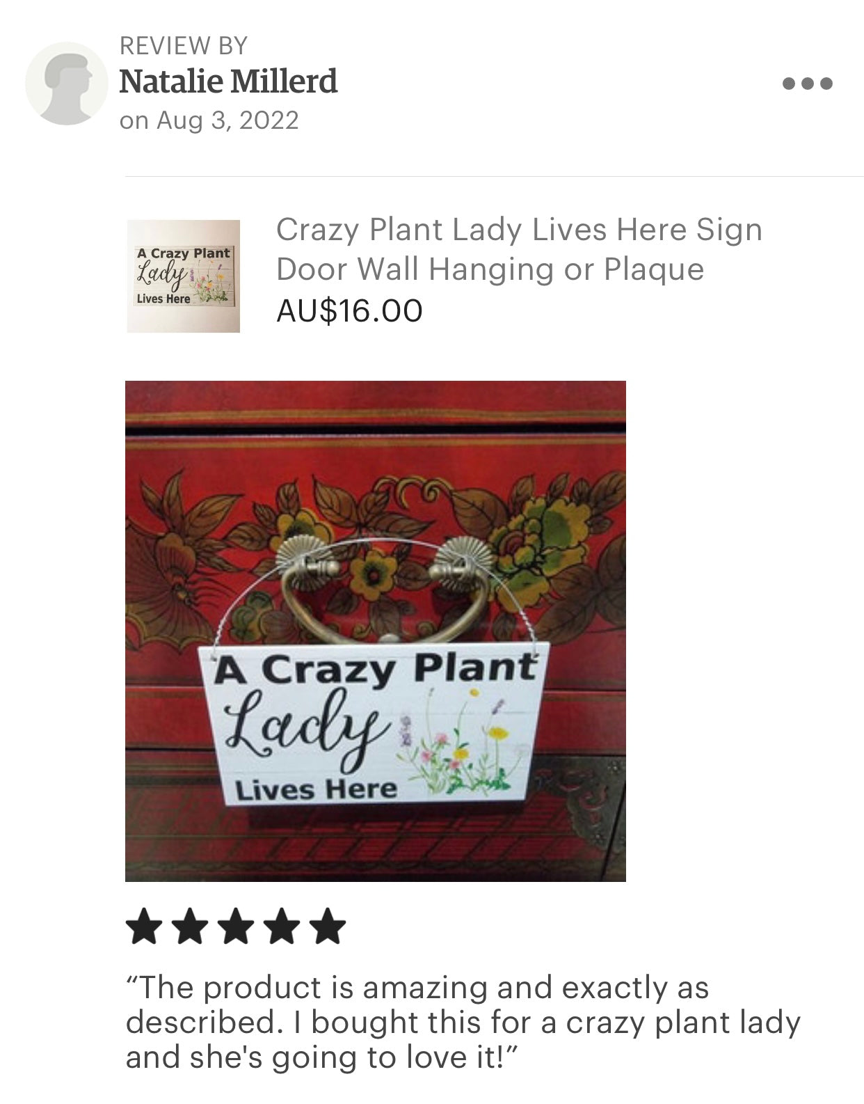 Crazy Plant Lady Lives Here Sign - The Renmy Store Homewares & Gifts 