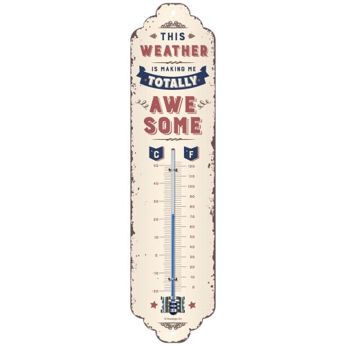 Thermometer Weather Temperature Awesome - The Renmy Store