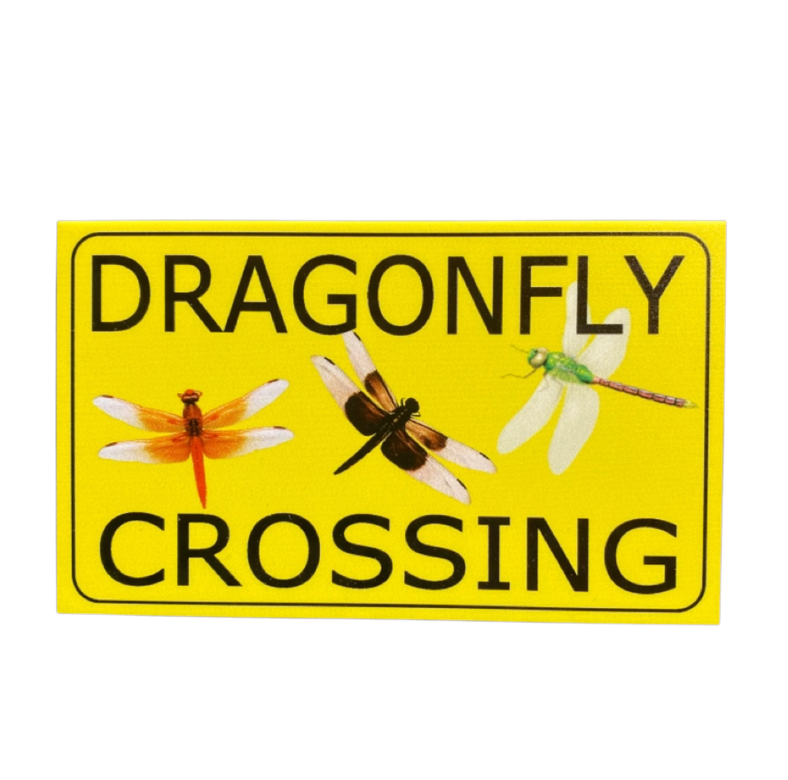 Dragonfly Crossing Sign - The Renmy Store Homewares & Gifts 