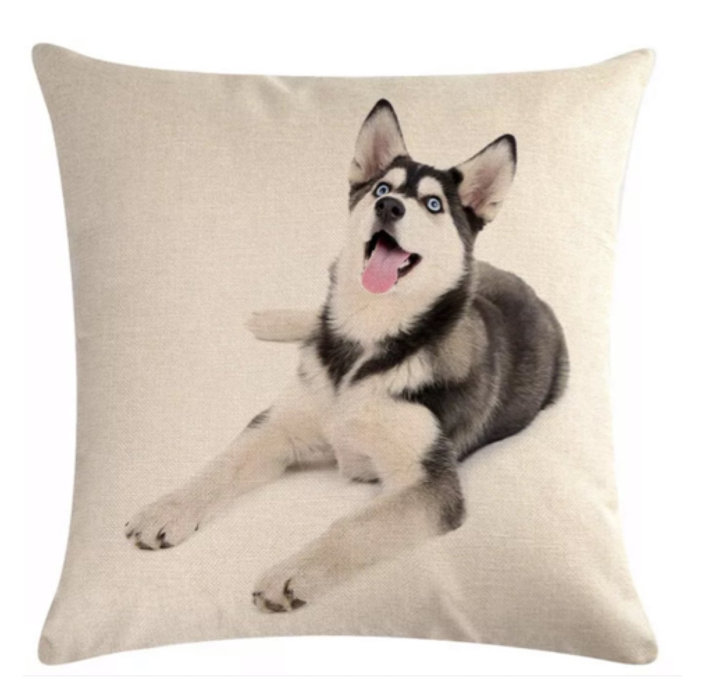 Cushion Cover Dog Husky Frank - The Renmy Store Homewares & Gifts 