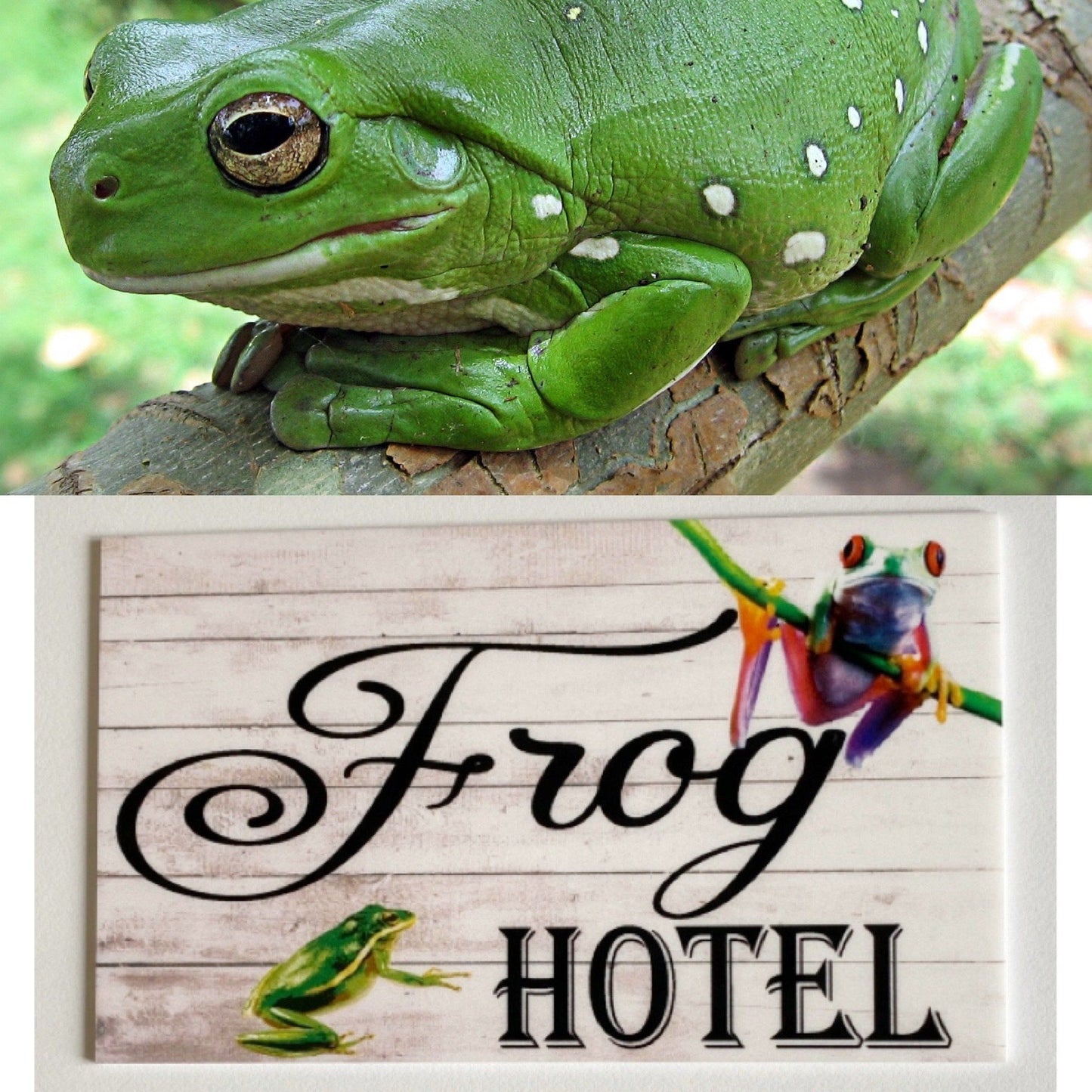Frog Hotel Sign