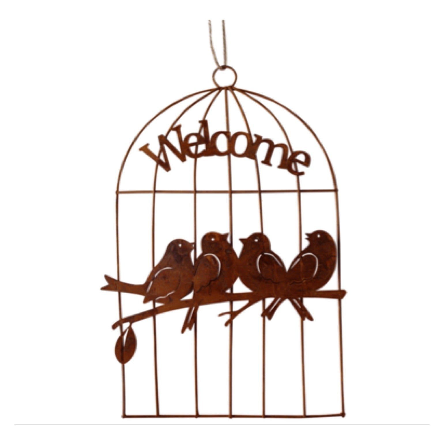 Welcome Hanging Birds in Cage