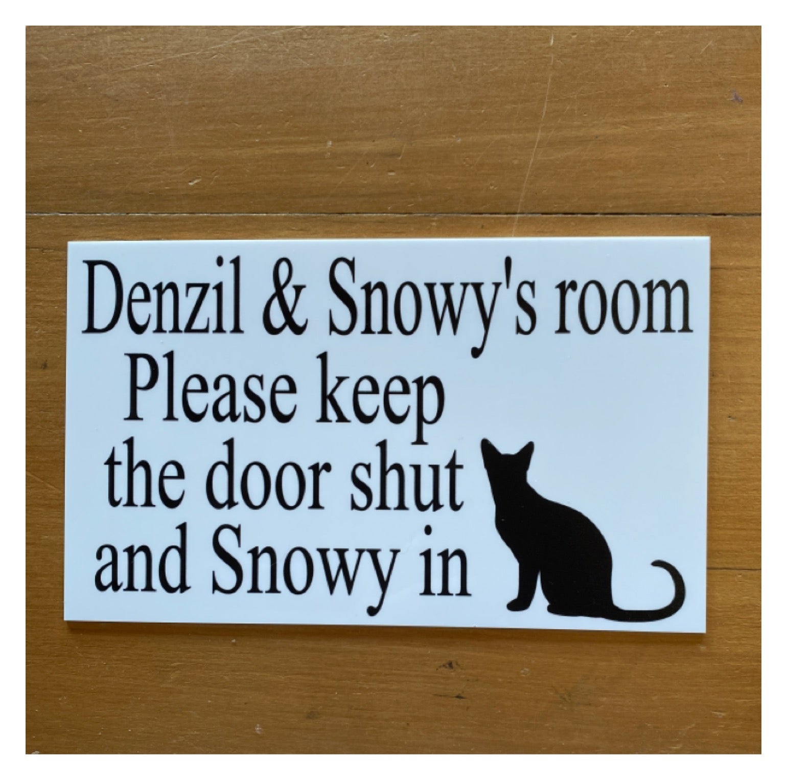 Cat Kitten Custom Personalised Sign - The Renmy Store Homewares & Gifts 