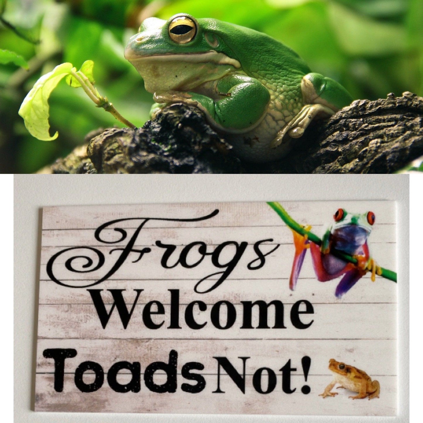 Frogs Frog Welcome Toads Not Sign