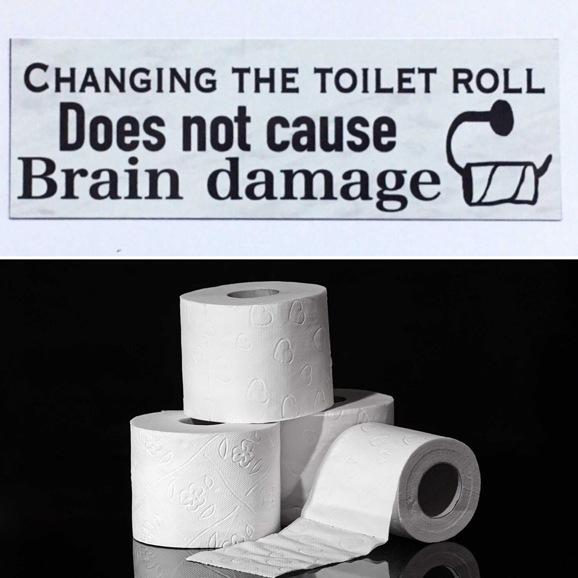 Changing The Toilet Roll Does Not Cause Brain Damage Sign