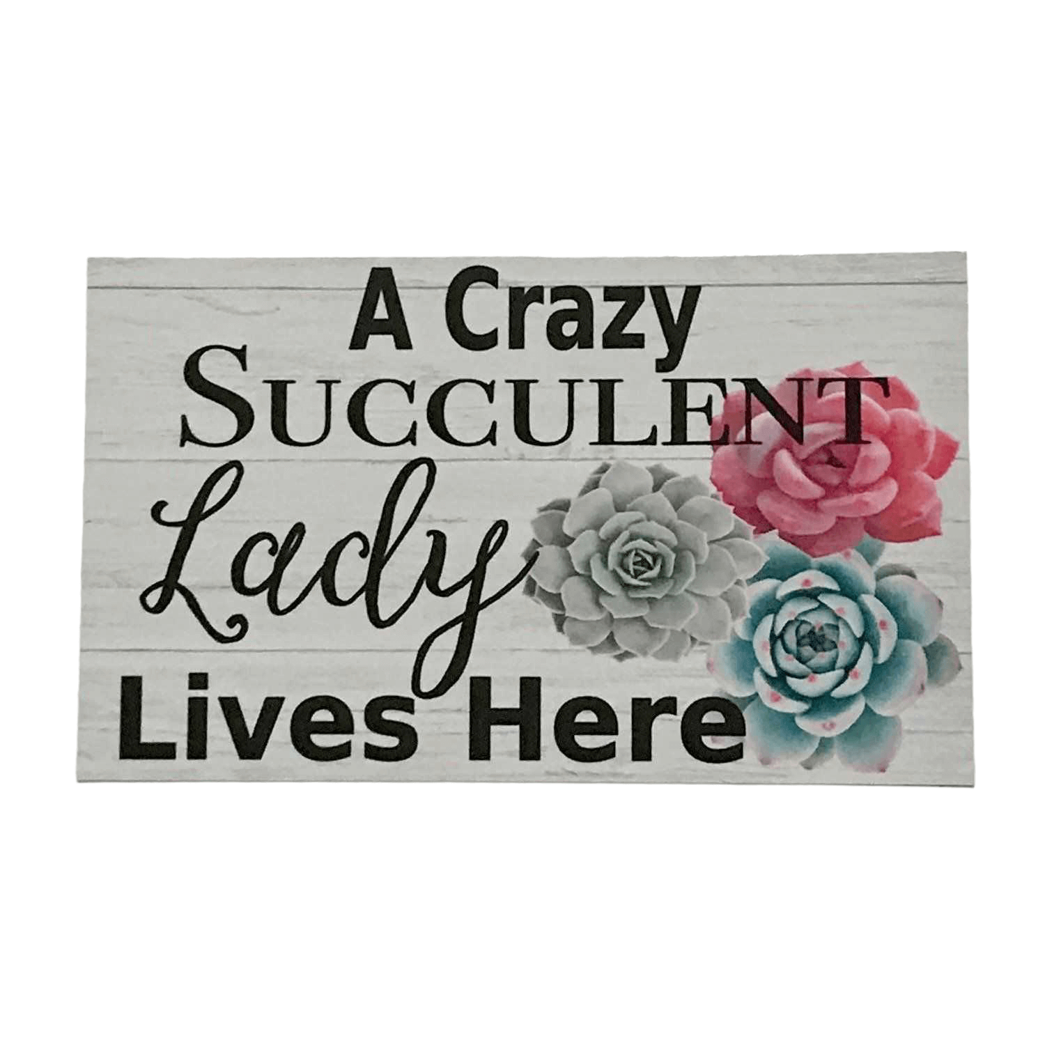 Crazy Succulent Lady Lives Here Sign - The Renmy Store Homewares & Gifts 