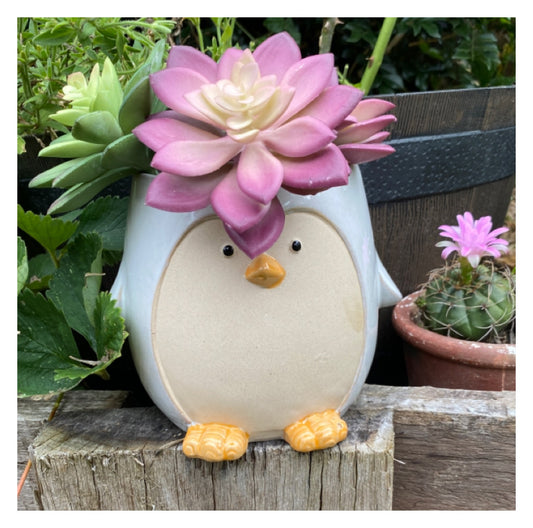 Penguin Happy Plant Pot Planter Garden - The Renmy Store Homewares & Gifts 