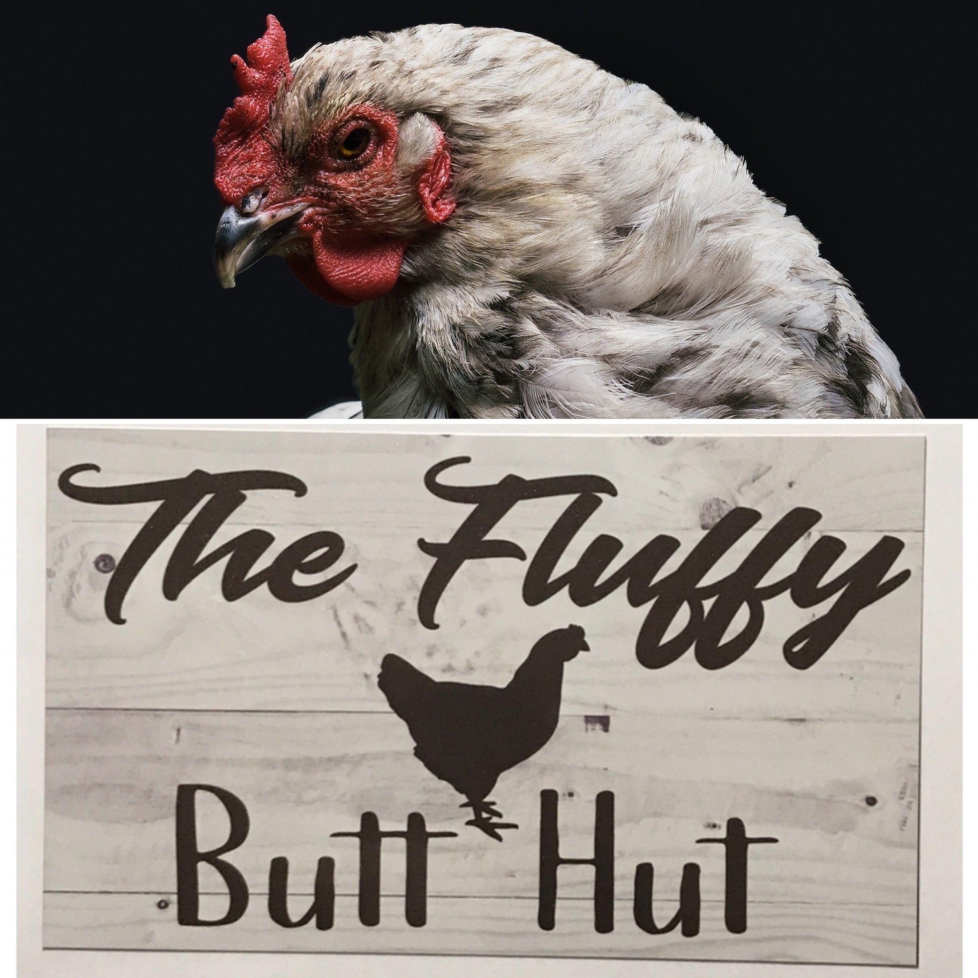 The Fluffy Butt Hut Chicken Grey Sign