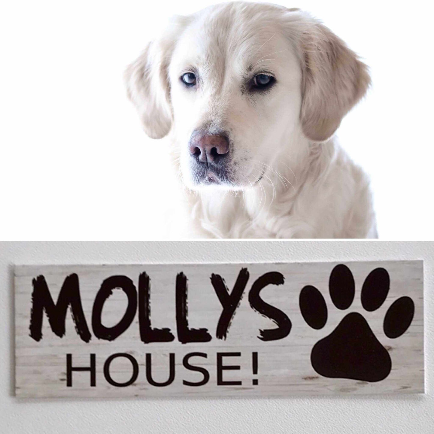Custom Your Dog Name House Kennel Sign