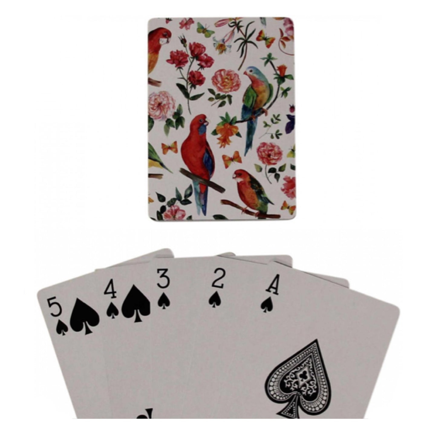 Playing Cards Parrot Birds with box