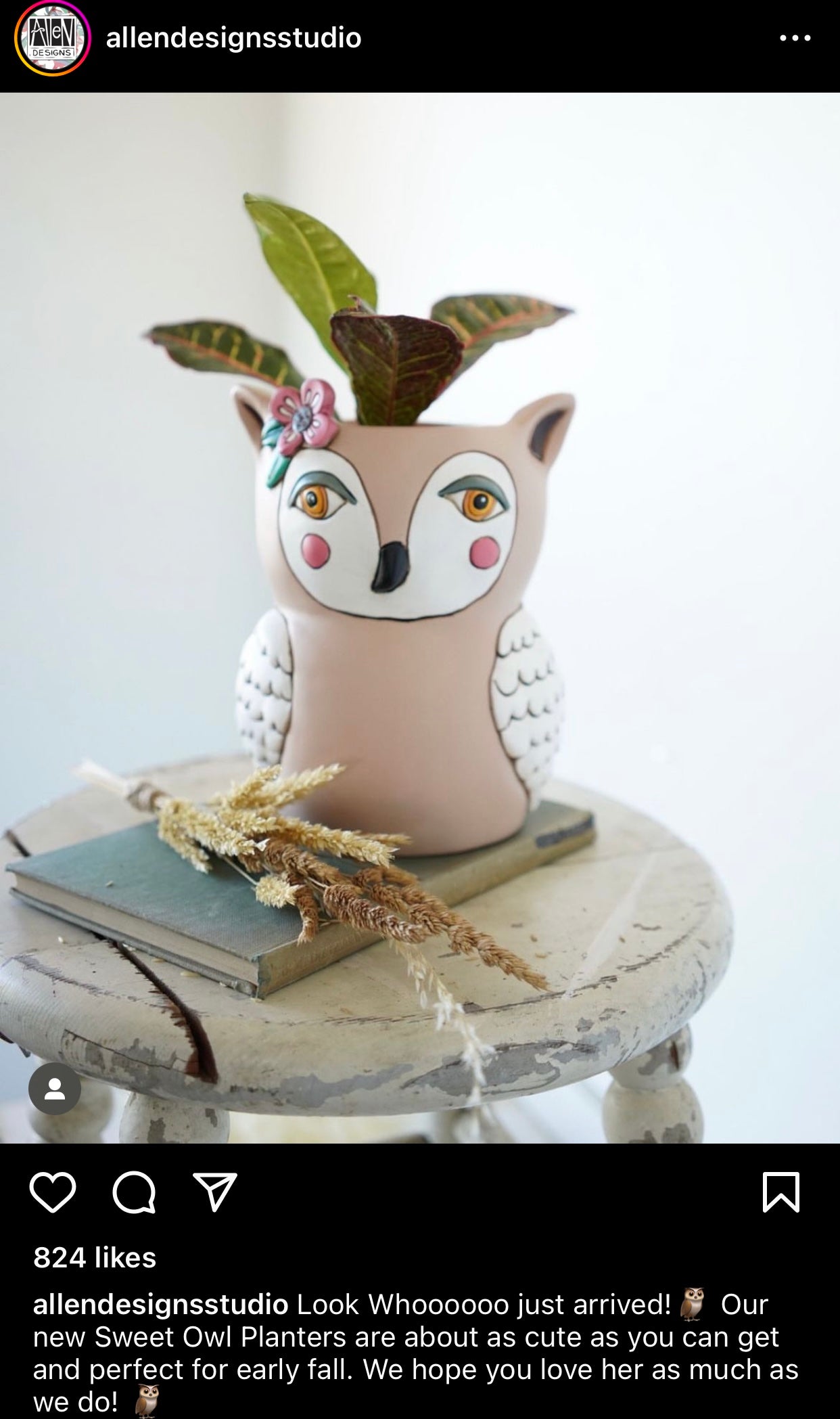 Owl Funky Pen Holder Pot Planter - The Renmy Store Homewares & Gifts 