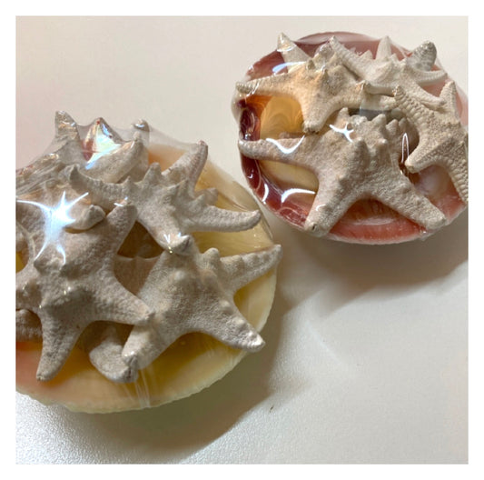 Ten Starfish Collection in Shell - The Renmy Store Homewares & Gifts 