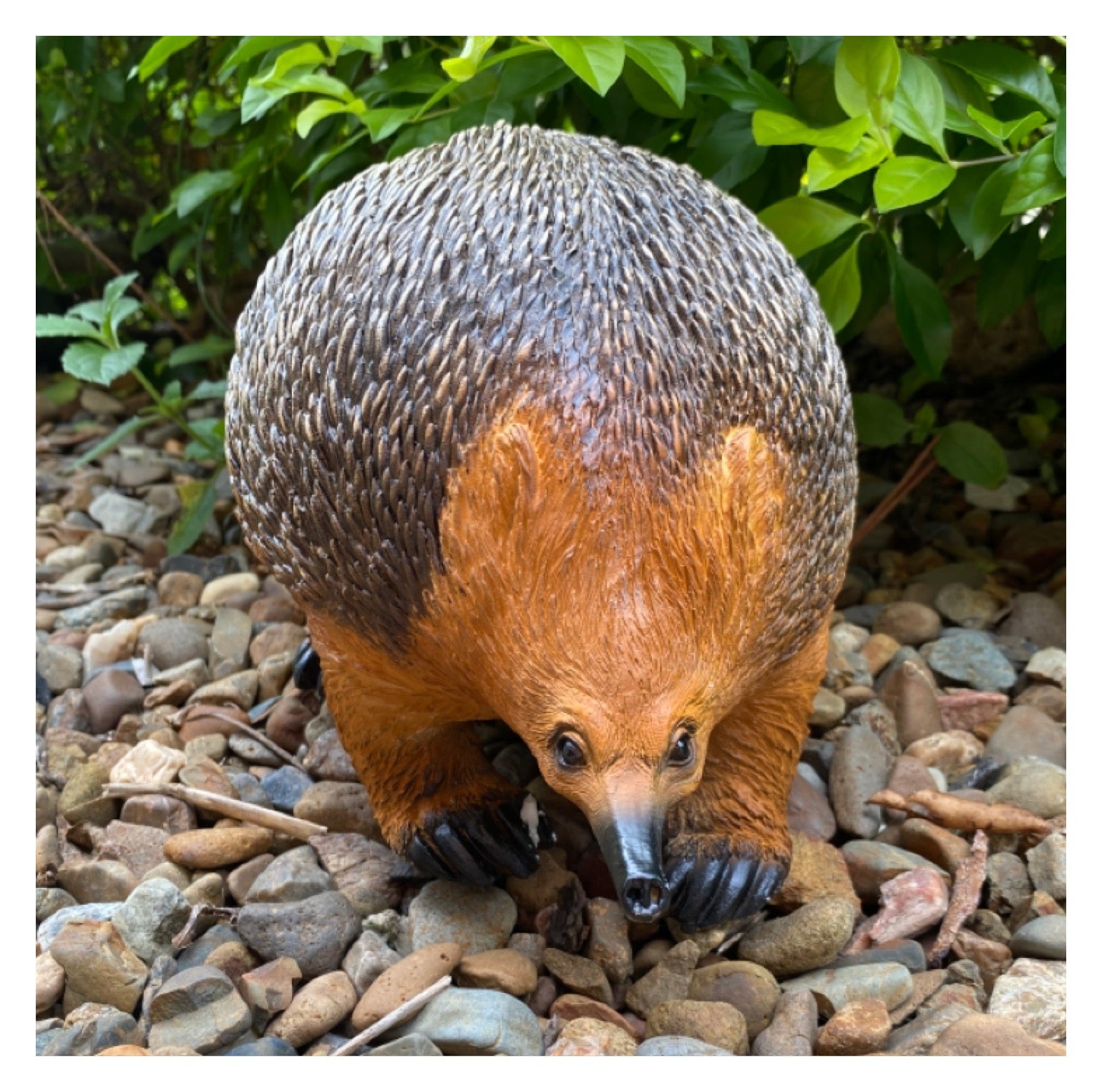 Echidna Australian Native Ornament - The Renmy Store Homewares & Gifts 