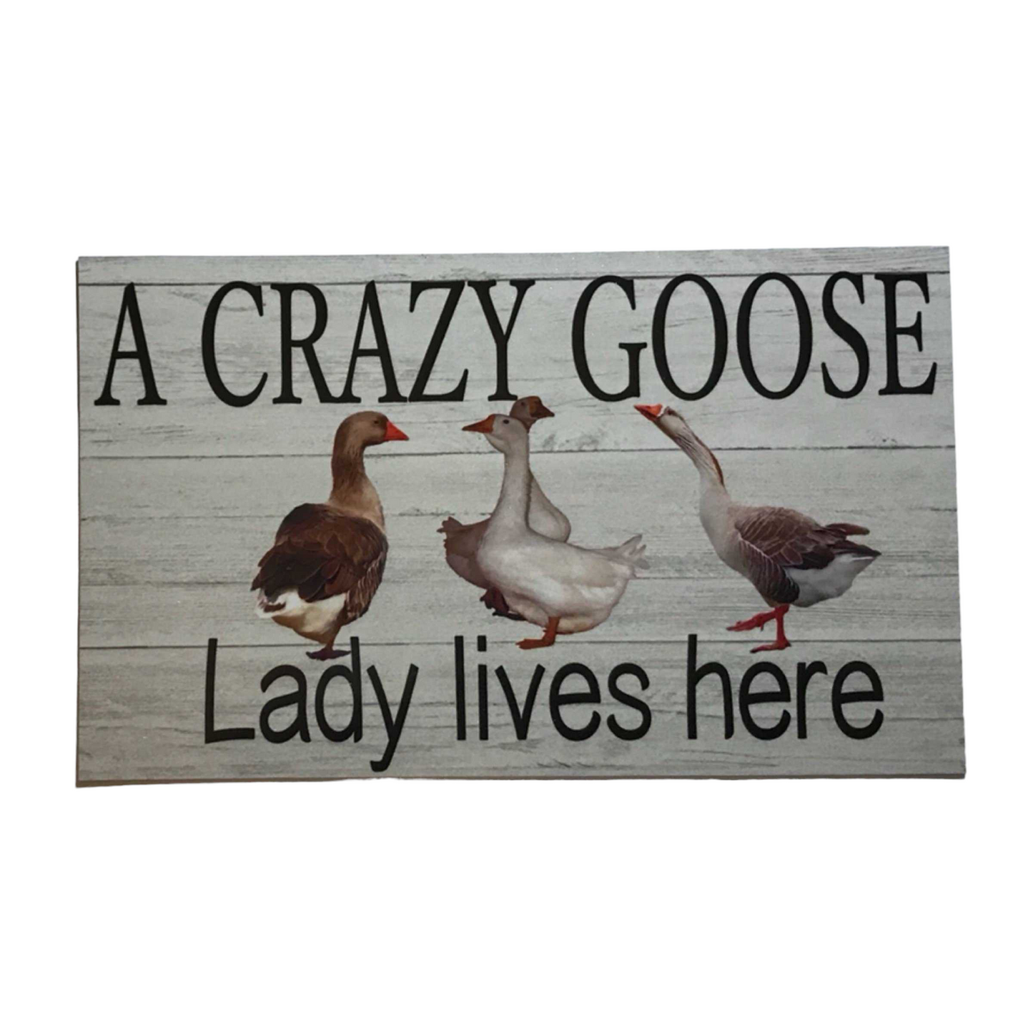 Crazy Goose Geese Lady Lives Here Sign