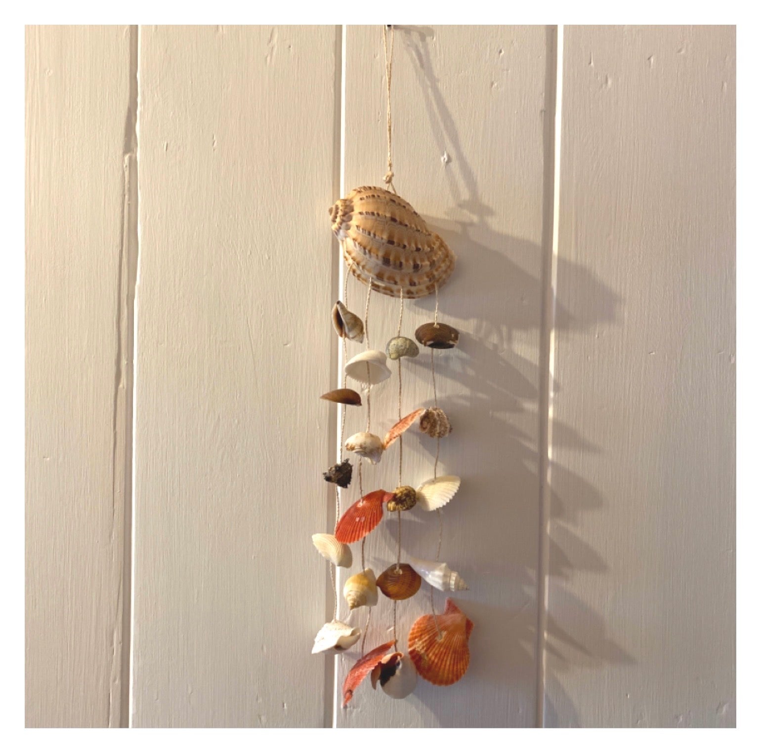 Hanging Shell Chime Ocean Breeze - The Renmy Store Homewares & Gifts 