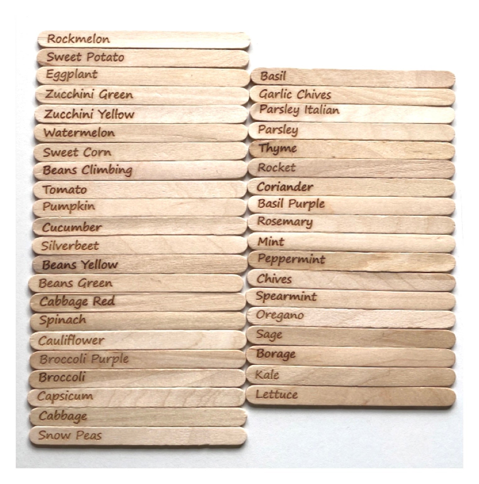 Vegetable Herb Garden Seed Label Marker Set of 40 Wooden - The Renmy Store